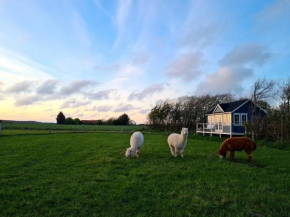 Little, nice alpaca-cottage for 2 with beautiful view
